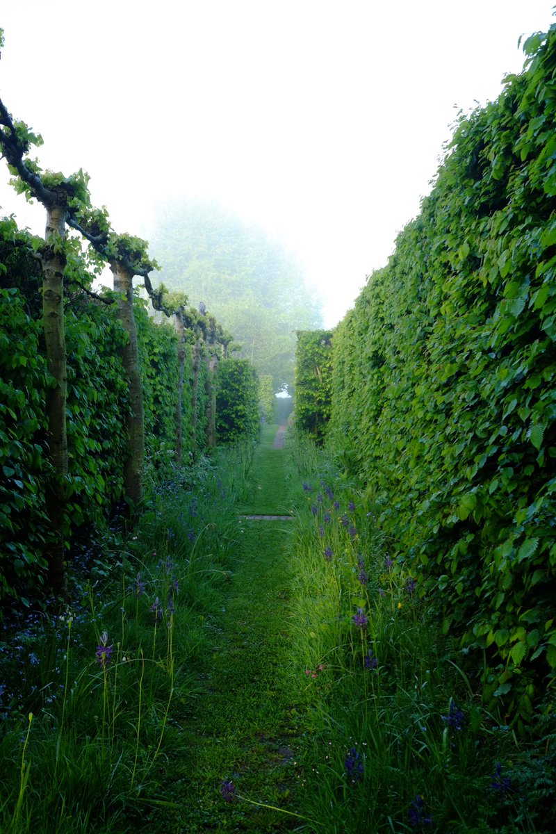 I mowed this for 25 years but so much nicer now it is becoming a strip of wildflower meadow