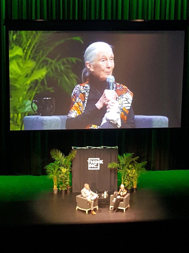 WomenInSTEMM_AU's tweet photo. Dr Jane Goodall is in Adelaide this Tuesday!! Over 150 high school &amp; PhD students will be awe-struck thanks to our partnership with @thinkincAU @Roots_Shoots @janegoodallau. Over 100 were totally inspired in Syd &amp; Melb!! 🤩#JaneinAu19 #ThinkGoodall #girlsinSTEMM #womeninSTEMM https://t.co/MrLVIE1WB5