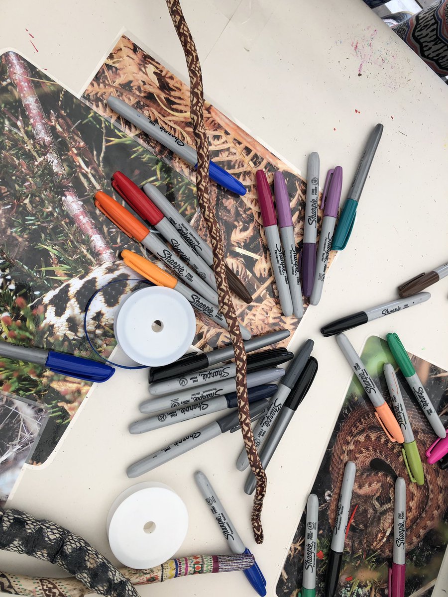 Adders are Amazing! tweet media