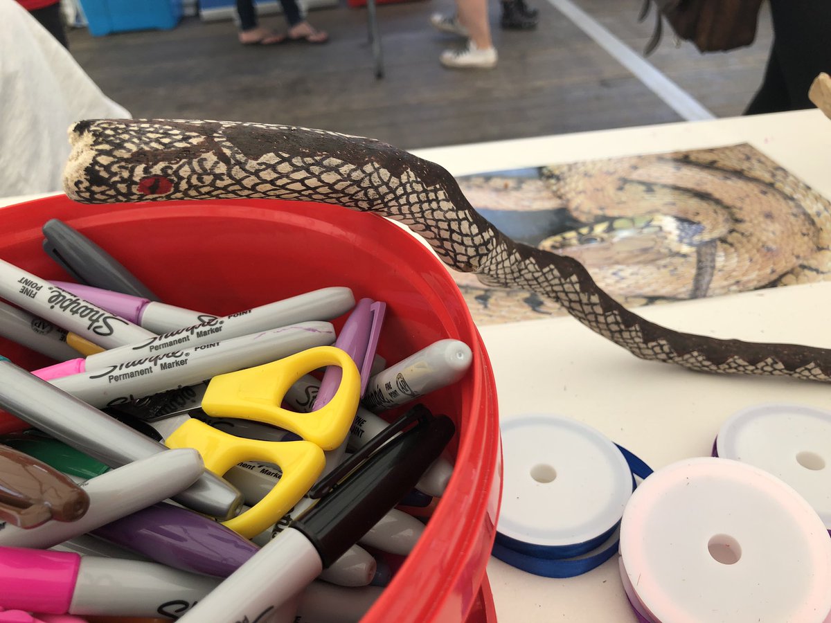 Adders are Amazing! tweet media