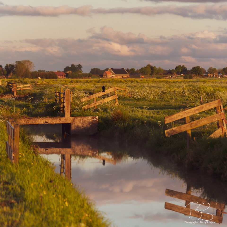 Een vroeg rondje Oudeland van Strijen. Er is daar altijd wel wat moois te zien. <a href="/hoekschnieuws/">Hoeksche Waard Nieuws</a> <a href="/mooieluchten/">mooieluchten</a> @ZOOMnl #strijen #hoekschewaard <a href="/gemeenteHW/">gemeenteHW</a>