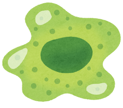 細胞のtwitterイラスト検索結果