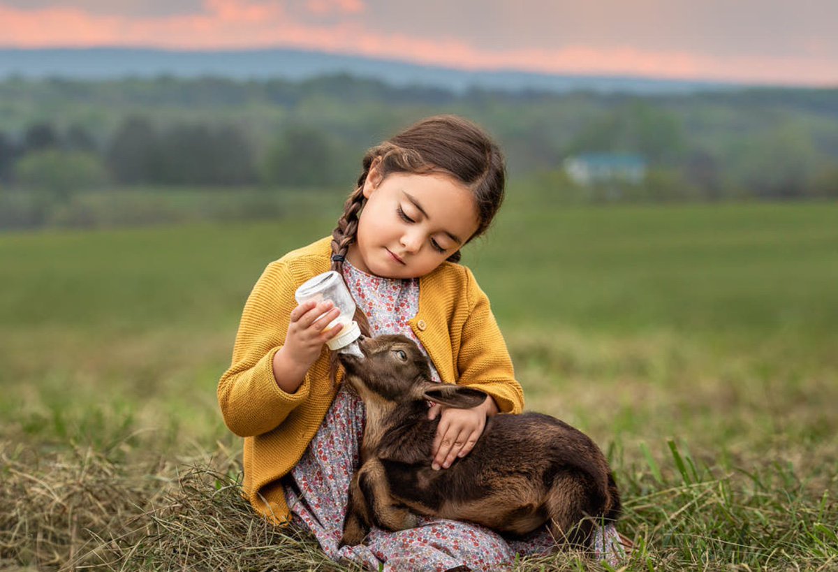 Ramblings tweet media