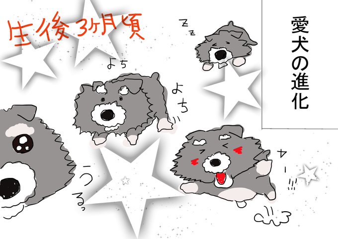 犬ののtwitterイラスト検索結果 古い順 犬ののtwitterイラスト検索結果 古い順