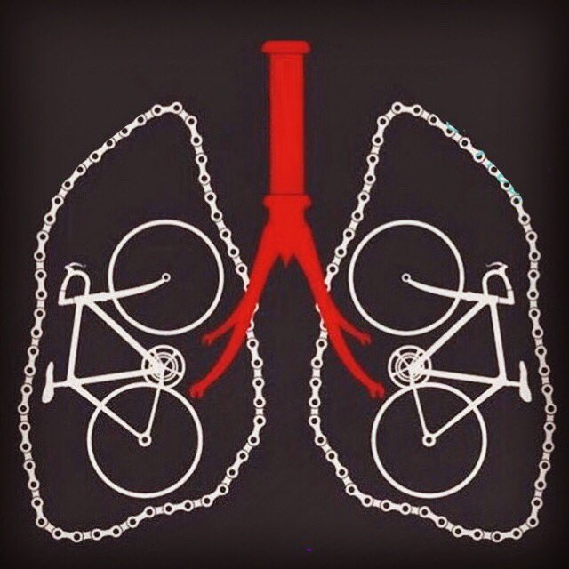 physiquesperf's tweet photo. En ce moment on voit des vélos partout même lors d’une radiographie de nos poumons 😮#vélo #veloaddict #bikefit #bicyclette https://t.co/2ODOH8SvU2