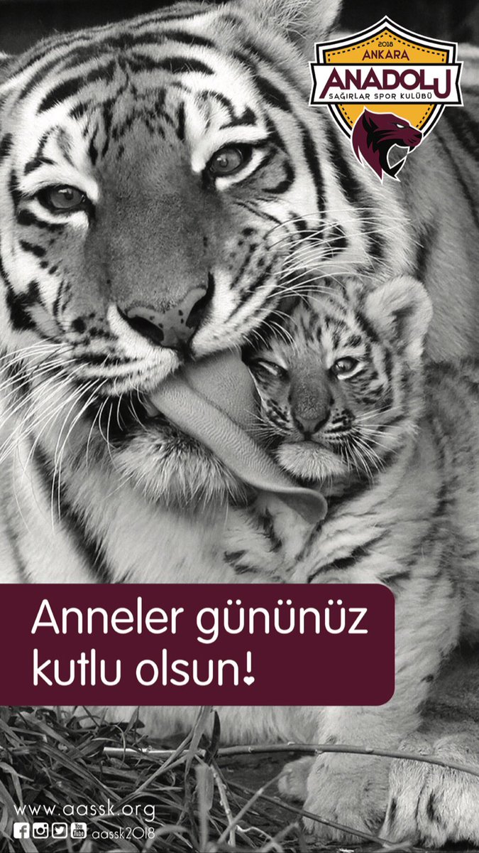 Her zaman, her durumda yanımızda! 
Tüm annelerimizin Anneler Günü’nü kutlarız. 👩‍👧‍👦❤️#AnnelerGünü #aassk #aassk2018 #deafbasketball #annepars #cocukpars #potanınparsları