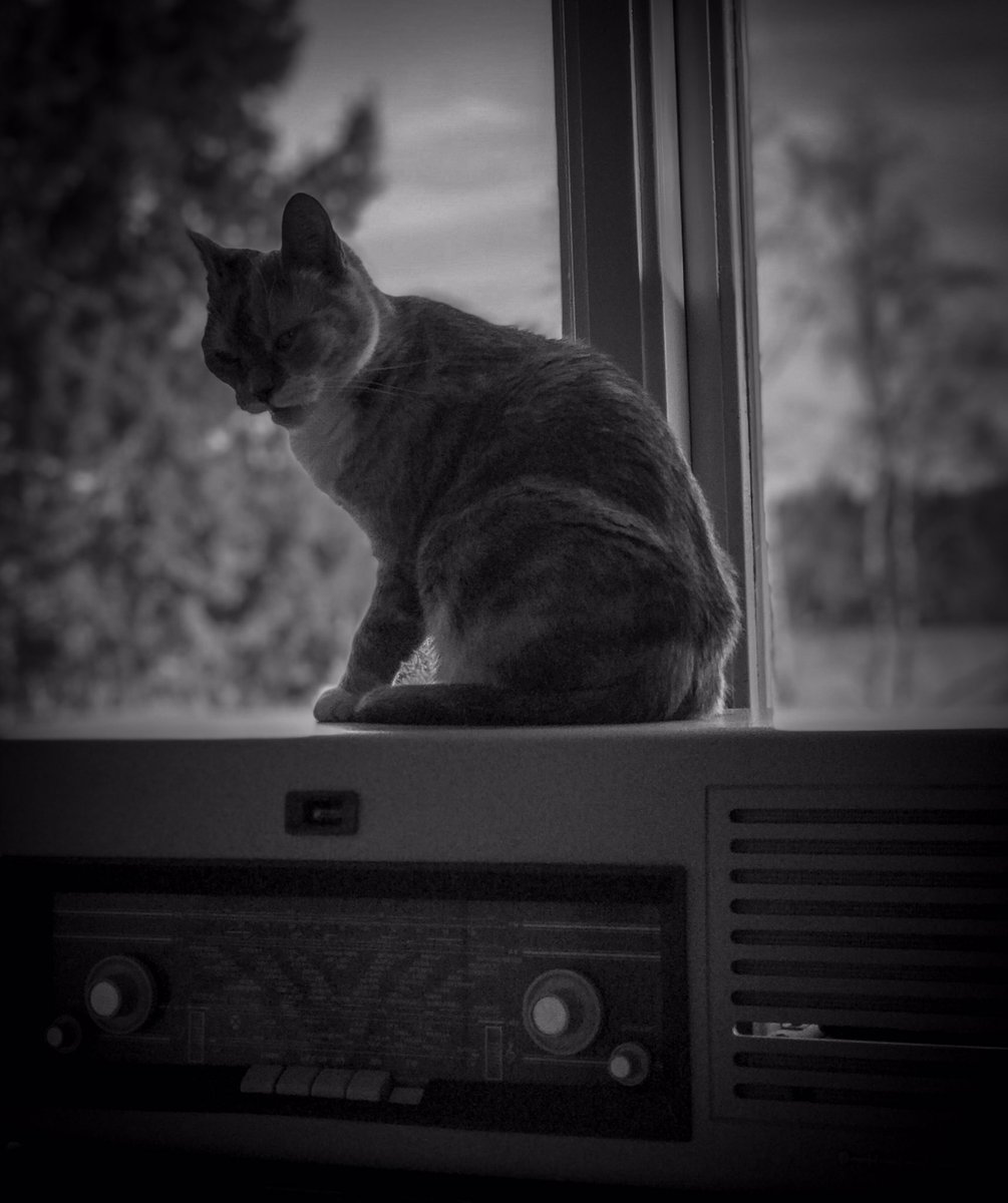 Fia, the Jazz Cat will listen to ”On the way” at 10:50AM and at 10:50PM (Pacific Time) May 11, in #NewMusic show, listen at LonelyOakradio.com <a href="/LonelyOakradio/">Lonely Oak radio</a> Will you?