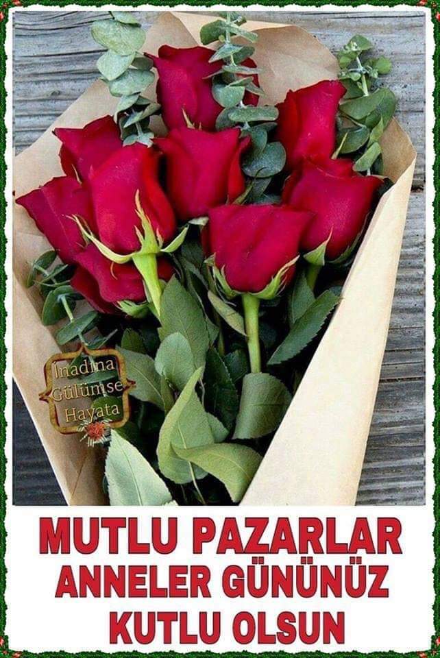 turkan .mustsfs (@turkan_mutafa) on Twitter photo 