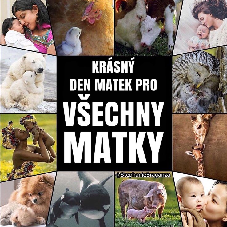 ultimate_vegans's tweet photo. https://t.co/jFgwwtNFnd