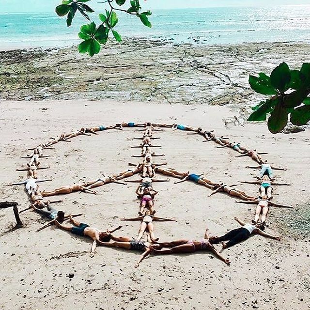 Health_Lab_Live's tweet image. [MOVEMENT] "Be the change that you wish to see in the world." - Mahatma Gandhi 💚
..................................................................................
📷 @omwithallee bit.ly/2VhXxS2