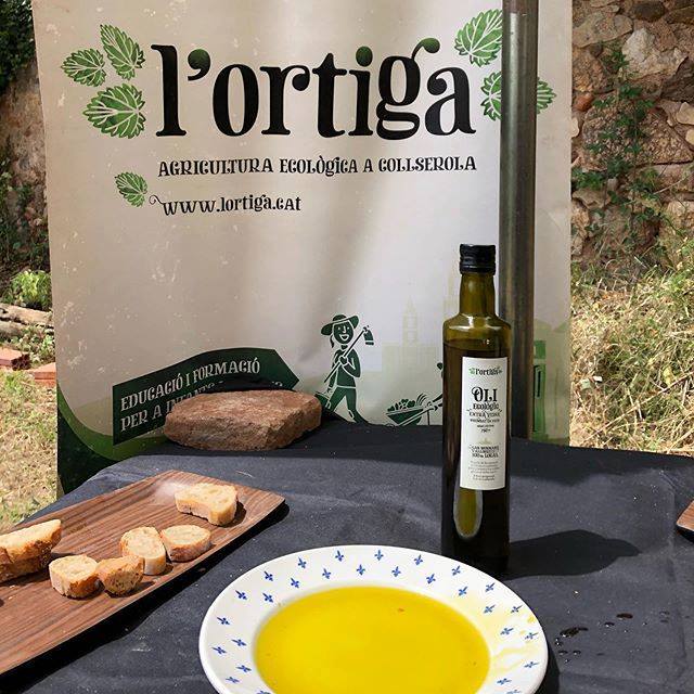 ortigamonmany's tweet photo. Ahir varem tenir visita de families consumidores i vam degustar el nostre petit tresor, or liquid, Oli #extraverge #premsatenfred d’oliveres centenàries 100% de la varietat #becaruda recuperades a la finca de #canmonmany #parcnaturaldecollserola #agricul… https://t.co/nfzFqam6D6 https://t.co/rs71jwVLgx