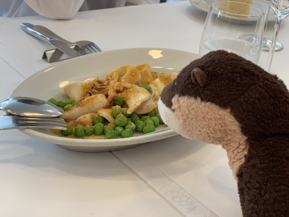 stuffedanimal2's tweet photo. 今日は母の日なので、みんなでお食事に行きました。どの料理も美味しくて大満足でした！ https://t.co/S6ND74yqD6
