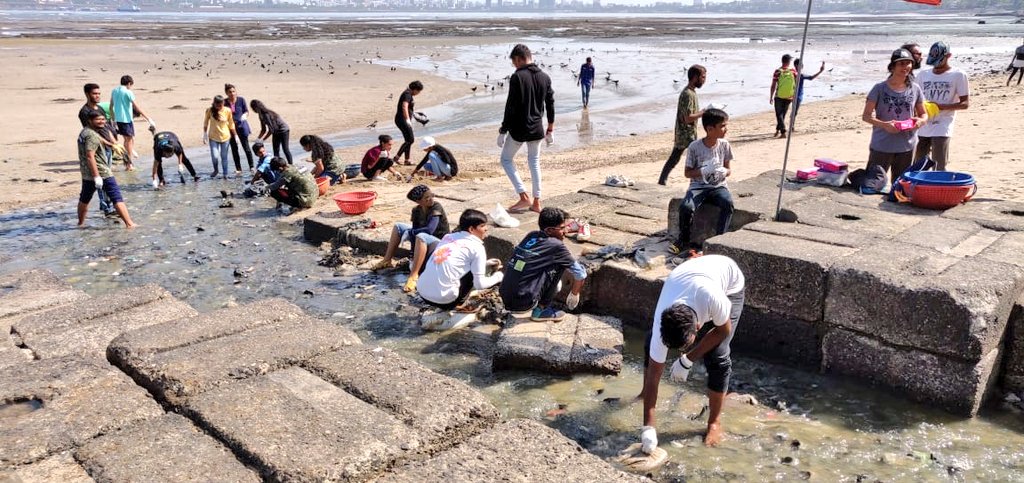 chinukofficial's tweet photo. #BeachCleanup #Week90 #Cleanup342
Beating the heat by cleaning up the sewage at Dadar Beach.
Team was motivated to see @AnilKokil sir - Lalbaug Corporator participating & actually cleaning the sewage.
Thank you Anil sir & Team for your support.
@AUThackeray @deespeak https://t.co/giJjEmKefp