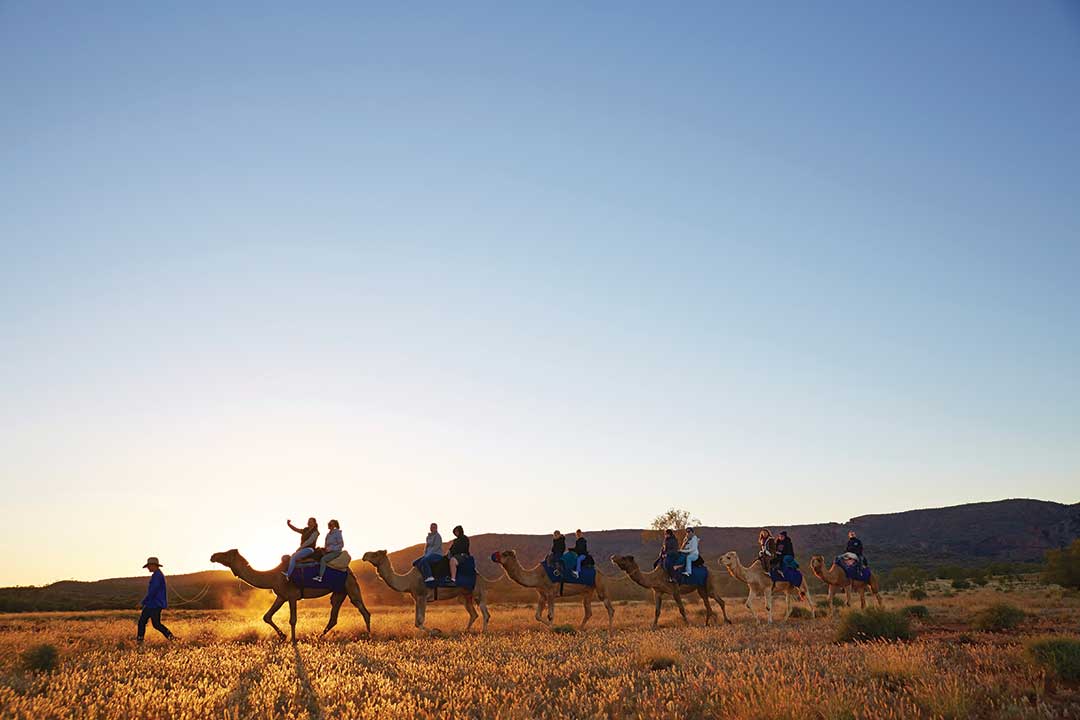 Discover the origins of Alice Springs –  Australia’s outback pioneering town. Visit the base of the iconic Royal Flying Doctor Service and take a wander around the museum or explore the outback town with a cycling tour or by camel!

AdveNTure in the NT: bit.ly/adveNTureNT