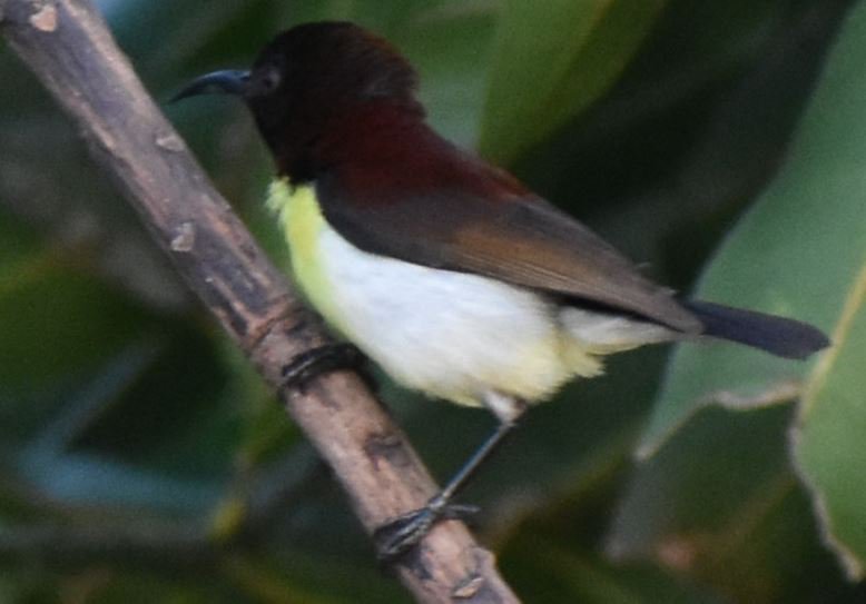 de_moaned's tweet image. ବାତ୍ୟା ପରେ ଗୋଟିଏ ଗୋଟିଏ ଚଢେଇ ଫେରିଲେଣି 😍
#CycloneFaniAftermath