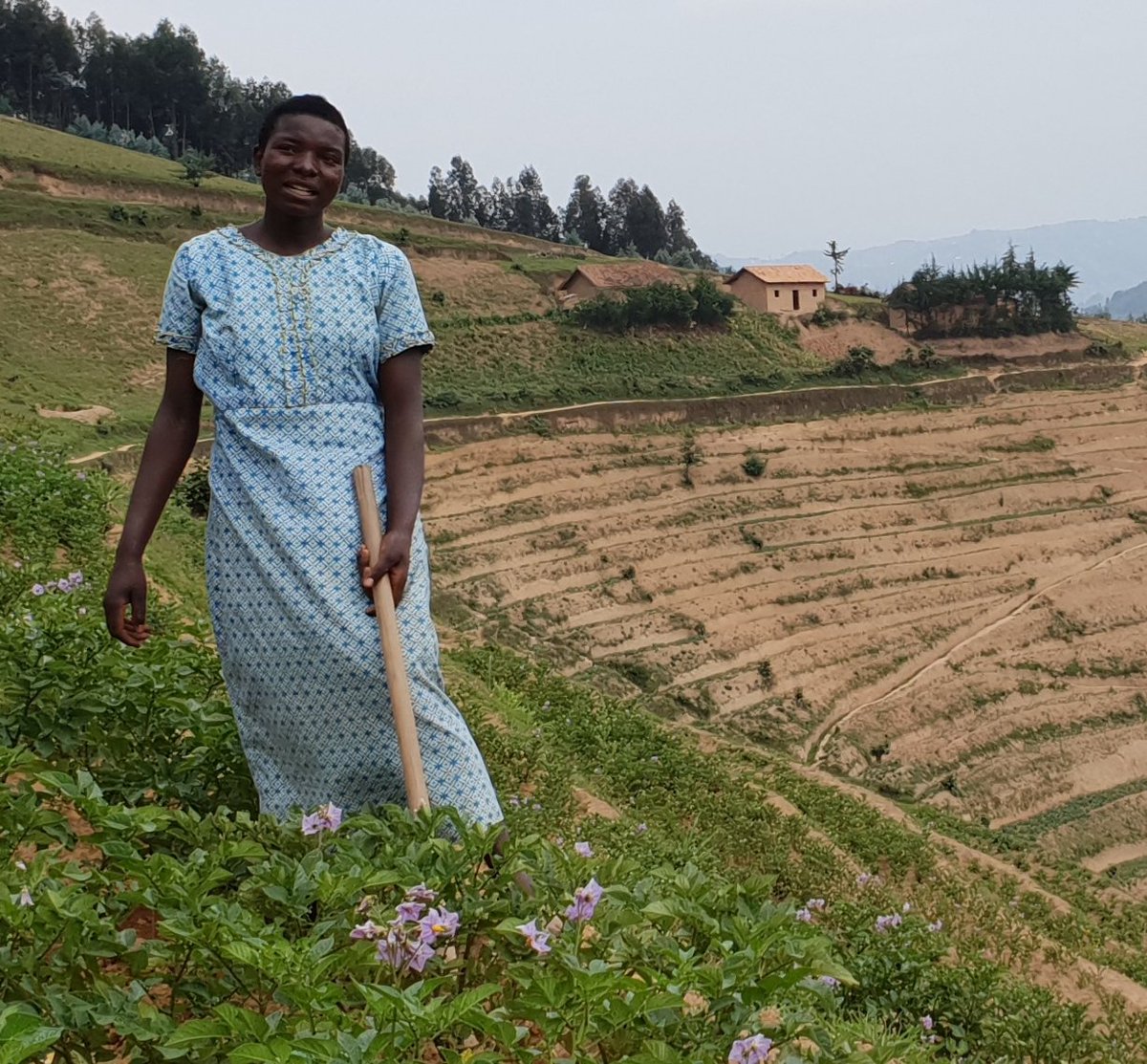 USAID Hinga Weze Rwanda tweet media
