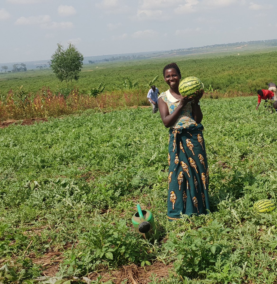 USAID Hinga Weze Rwanda tweet media