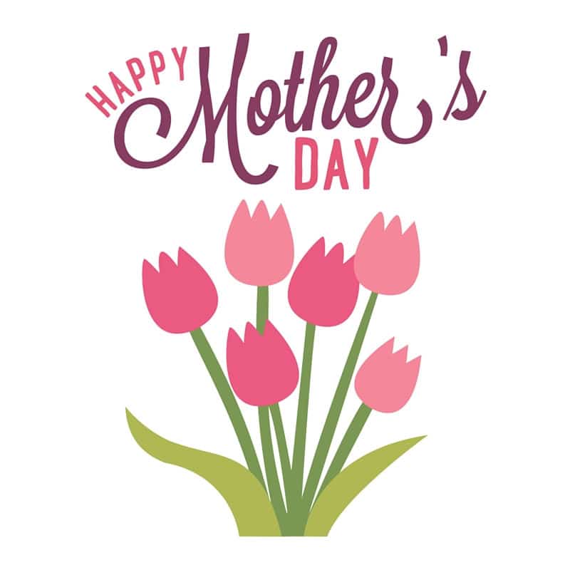 WomenSupermoto's tweet photo. Happy Mother's Day to all Moto Moms! https://t.co/T465DXWGBl