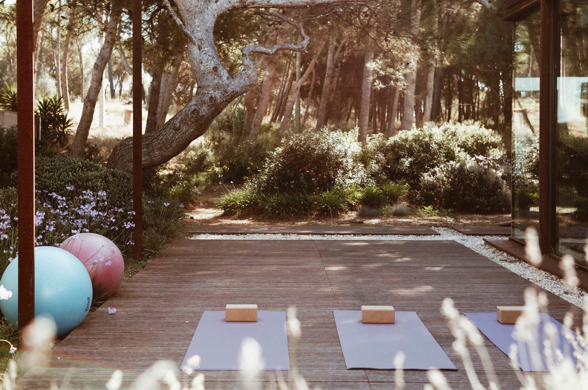 hostalempuries's tweet photo. Gaudeix d'una àmplia varietat de teràpies naturals, classes de yoga gratuïtes per als clients, gimnàs amb vistes al mar i meditació. Hi ha alguna cosa millor per començar el diumenge?
L'#HostalEmpúries és tot el que necessites per recarregar energies. https://t.co/7ToFuV3RF4
