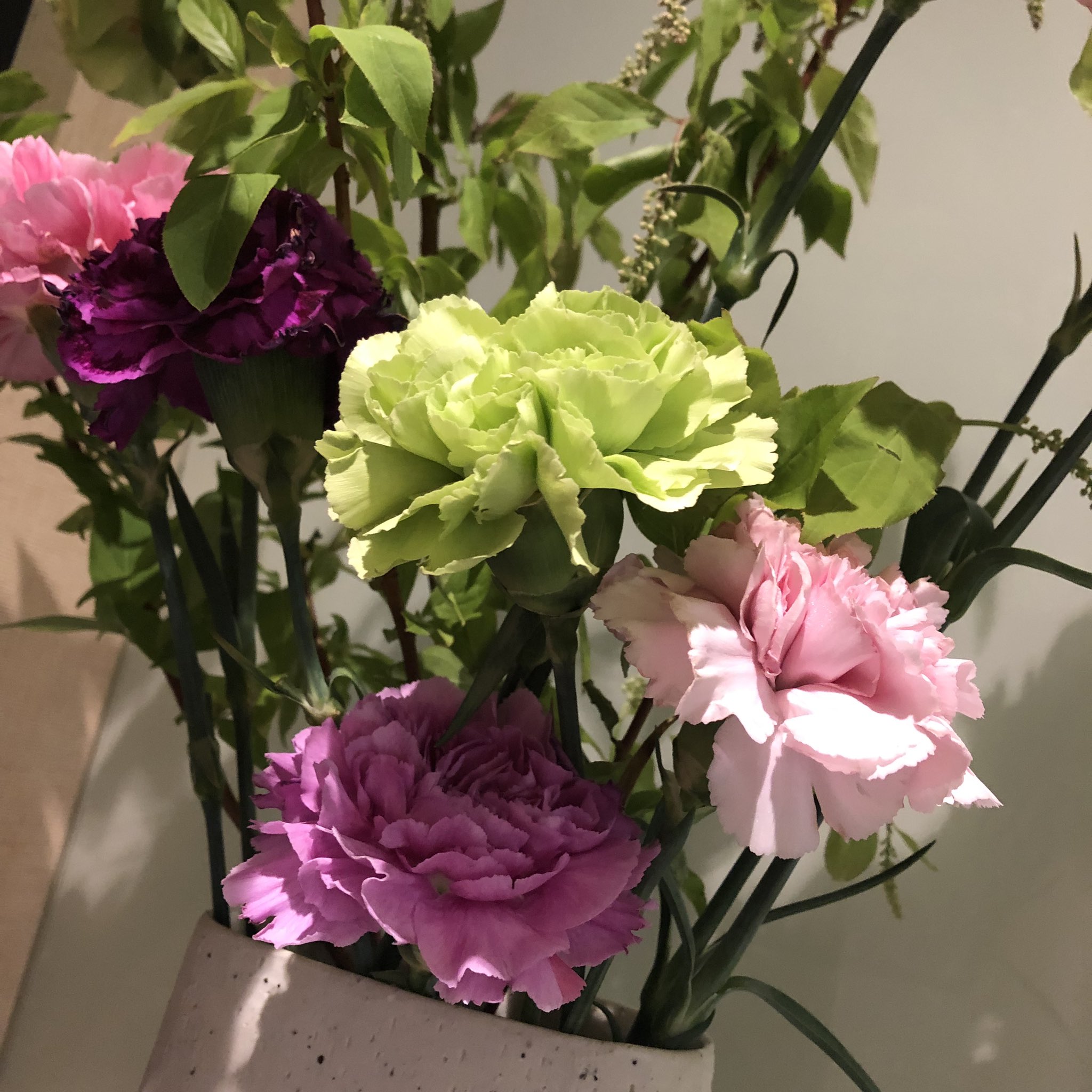 Hoshiromi En Twitter Happy Mother S Day Iphonephoto Thanksmom Carnation Rose Flower Love Pilot Analogillustration Travel Tokyo Japan 母の日 母の日イラスト カーネーション 素敵な一日を 万年筆イラスト部 手書き アナログ