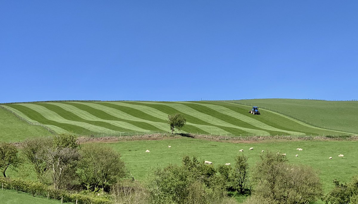 duhonw's tweet photo. #stripes #rolling #duhonw #newholland https://t.co/uuvBFwZgO0