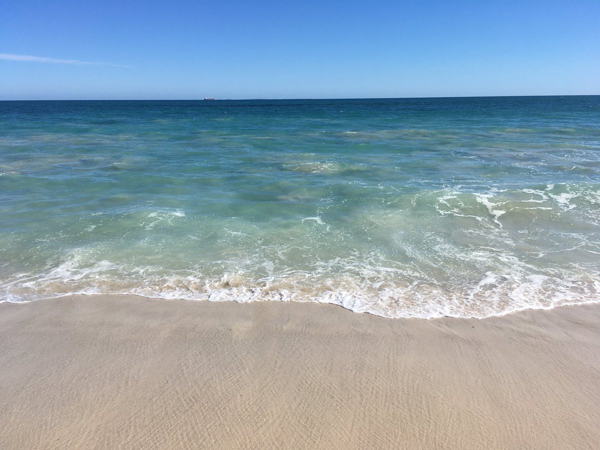 doc_mingu's tweet photo. Good morning walking the sea to river route in the Vlamingh Parklands #Perth with @Mosmanparkbushl & co & talking #conservation & #landcare. Thanks Friends of Mosman Park Bushland. Exciting to hear bird species are returning. #perthnrm #urbanbushland https://t.co/Z9F5mmUVC5