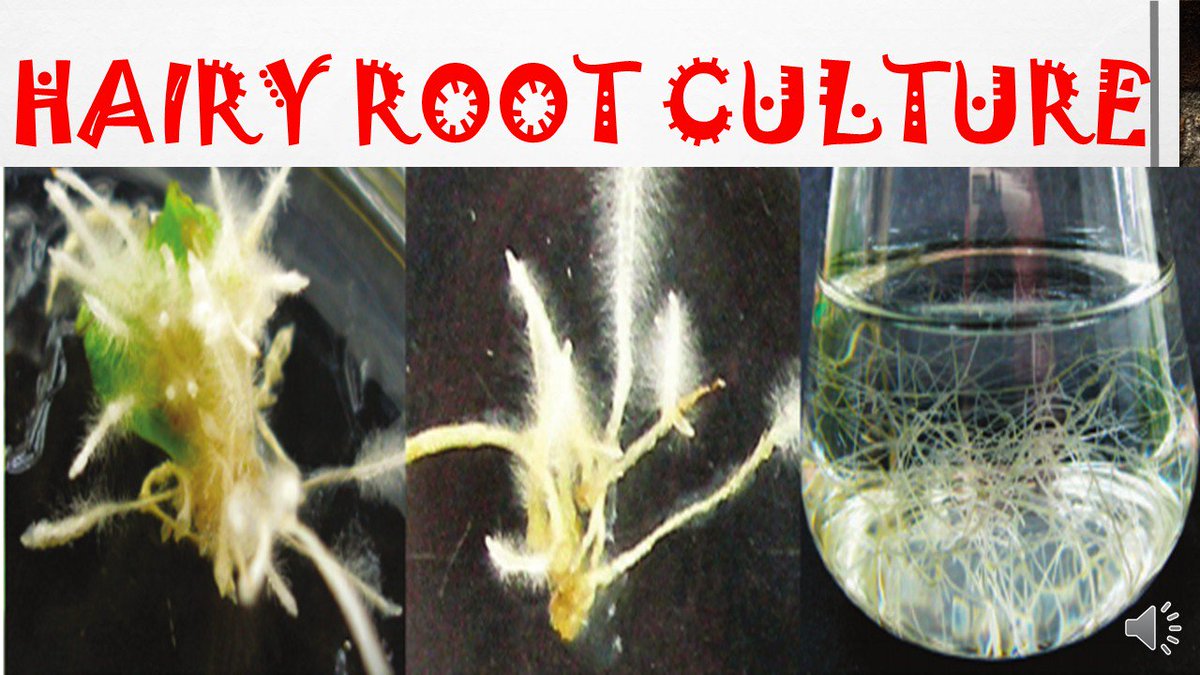 KmdWith's tweet image. youtu.be/UaxYqjQZzug