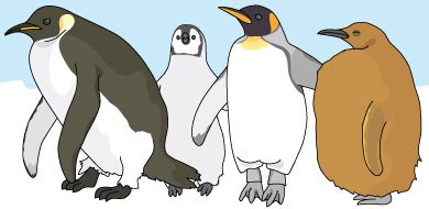 皇帝ペンギンのtwitterイラスト検索結果 古い順 皇帝ペンギンのtwitterイラスト検索結果 古い順