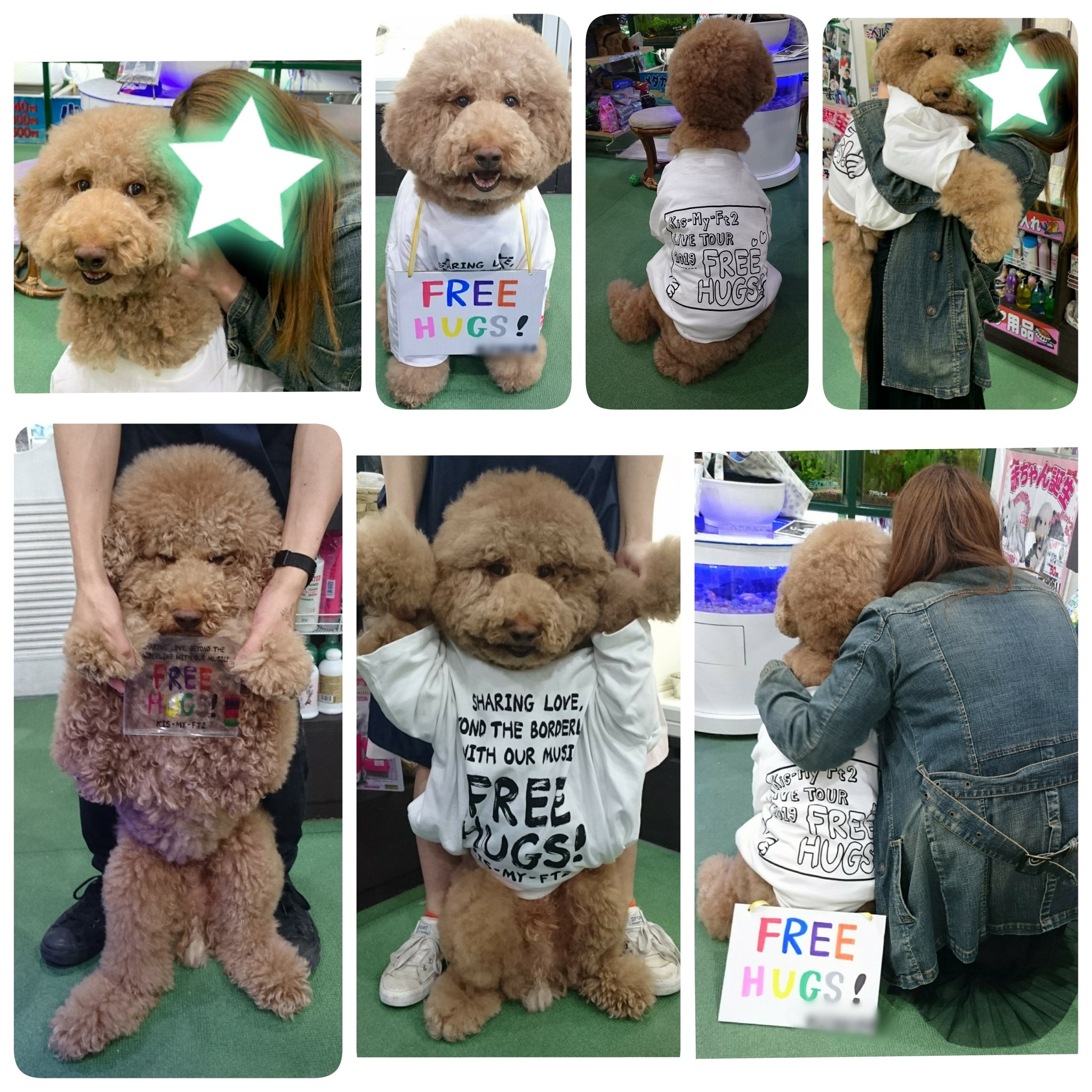 おーちゃん じゅーしぃ Pa Twitter ふわふわ犬プーくんとfree Hugs Freehugs Myfreehugs キスマイ Kismyft2 Kisーmyーft2 Hugandwalk 北山宏光 千賀健永 宮田俊哉 横尾渉 藤ヶ谷太輔 玉森裕太 二階堂高嗣 令和初東京ドーム公演はキスマイ T おーちゃん じゅーしぃ Pa Twitter ふわふわ犬プーくんとfree Hugs Freehugs Myfreehugs キスマイ Kismyft2 Kisーmyーft2 Hugandwalk 北山宏光 千賀健永 宮田俊哉 横尾渉 藤ヶ谷太輔 玉森裕太 二階堂高嗣 令和初東京ドーム公演はキスマイ T