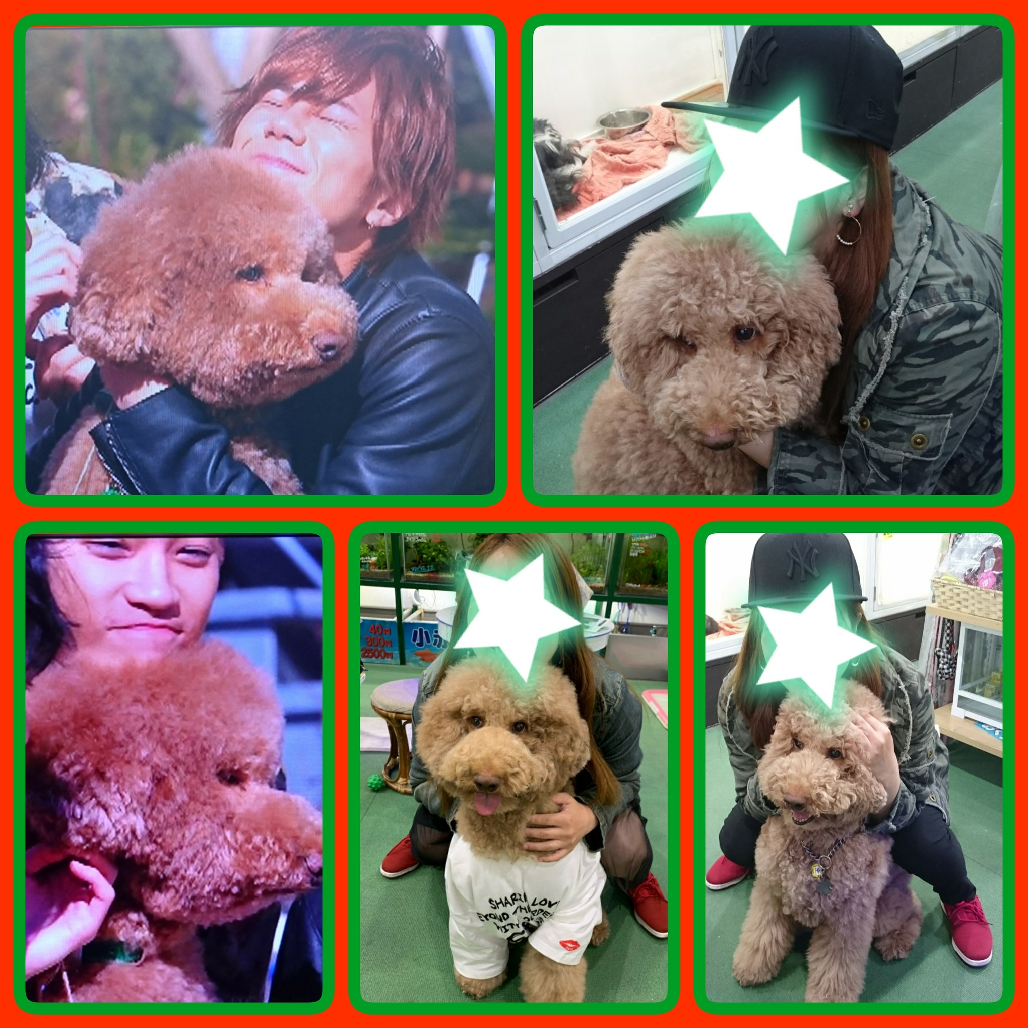 おーちゃん じゅーしぃ Pa Twitter ふわふわ犬プーくんとfree Hugs Freehugs Myfreehugs キスマイ Kismyft2 Kisーmyーft2 Hugandwalk 北山宏光 千賀健永 宮田俊哉 横尾渉 藤ヶ谷太輔 玉森裕太 二階堂高嗣 令和初東京ドーム公演はキスマイ T おーちゃん じゅーしぃ Pa Twitter ふわふわ犬プーくんとfree Hugs Freehugs Myfreehugs キスマイ Kismyft2 Kisーmyーft2 Hugandwalk 北山宏光 千賀健永 宮田俊哉 横尾渉 藤ヶ谷太輔 玉森裕太 二階堂高嗣 令和初東京ドーム公演はキスマイ T
