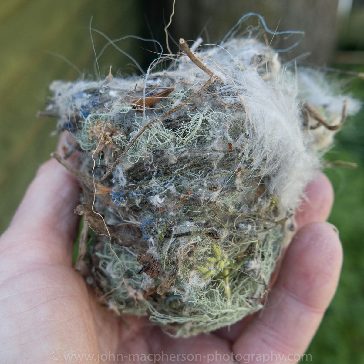 JohnWMacPherson's tweet photo. One of the children found this bird's nest this morning on the ground, pulled from its perch by a predator. A wonderfully intricate blend of moss, wool, lichen, plants....and nylon thread. Plastic in the environment?  Its 'woven' into the very fabric of the natural world... https://t.co/VCEe6GrO8R