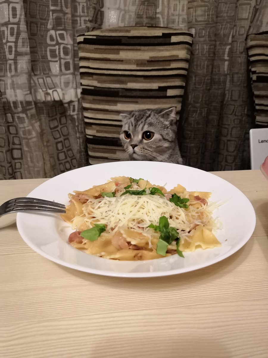 Subonych's tweet photo. @YandexEda Все ништяк. Кот доволен https://t.co/wmkVxMUxQH