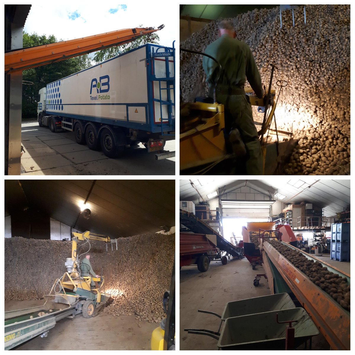 Dit jaar met #moederdag aan het werk: aardappelen afleveren voor de fritesfabriek. Gezellig met de mannen van <a href="/abtexel/">a j witte</a>.