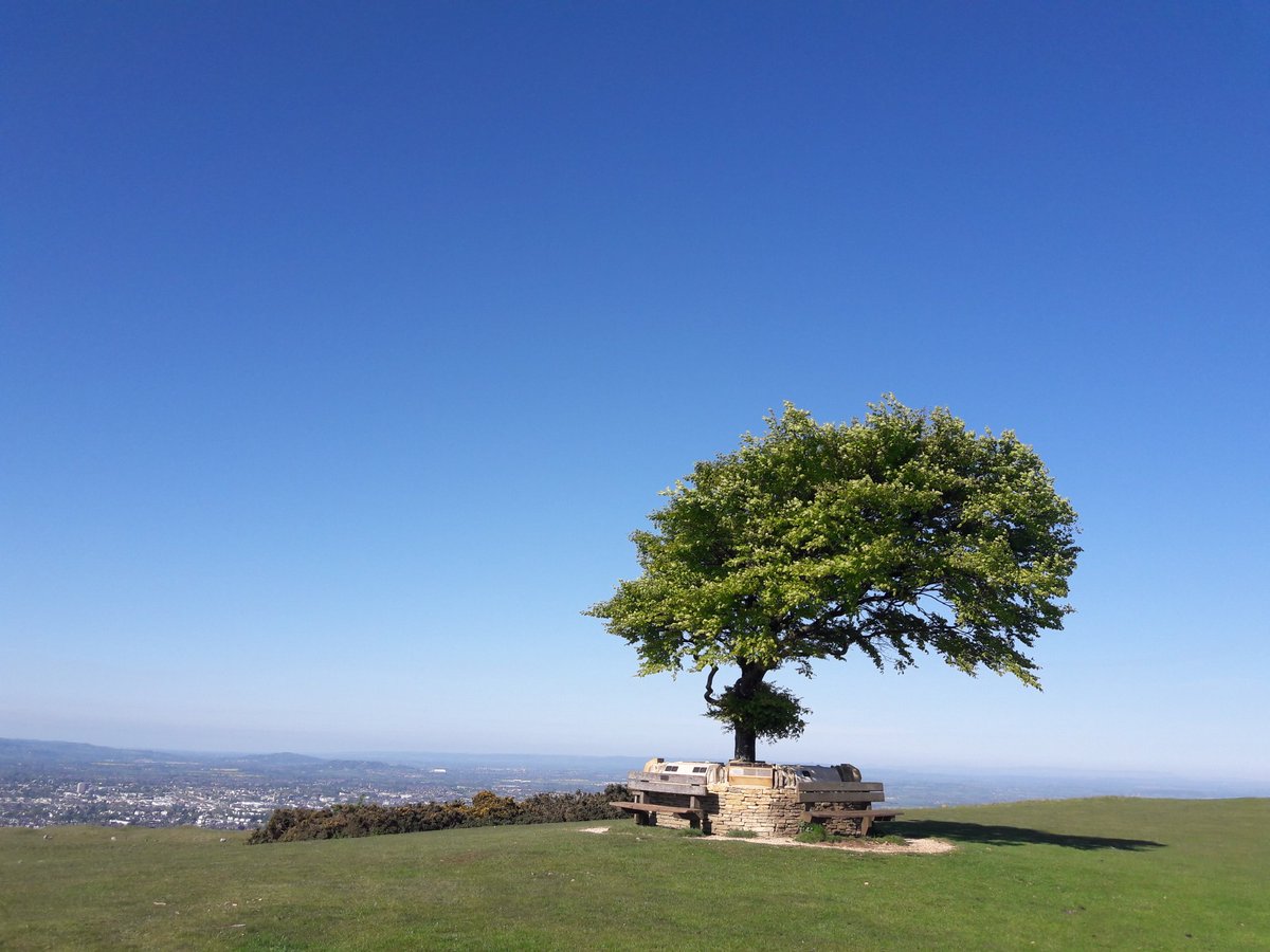 davespublic's tweet photo. Looking mighty fine @CleeveCommon again this morning https://t.co/P8Vj8IT5bd