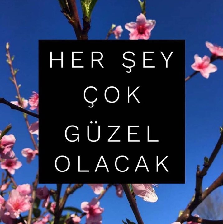 Özge (@o_karabasoglu) on Twitter photo 