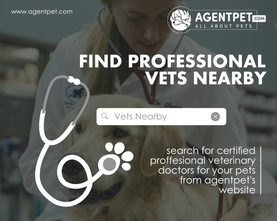 agentpetdotcom's tweet image. Find a Veterinary Clinic Near You

Visit: agentpet.com/pets-and-vets

#AgentPet #BuyandSell #PetEngage #PetEngagement #PetAccessories #PetFood #PetRelocation #PetAdoption #FindPetShop #FindVetshop #PetTravell #InternationalPetTravel #PakistaniPets #Animals #Cats #Dogs #reptiles