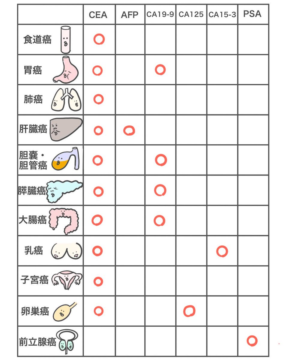 ゴロ 解剖生理イラスト パッと見で分かる 腫瘍マーカーまとめ 保存版だよ