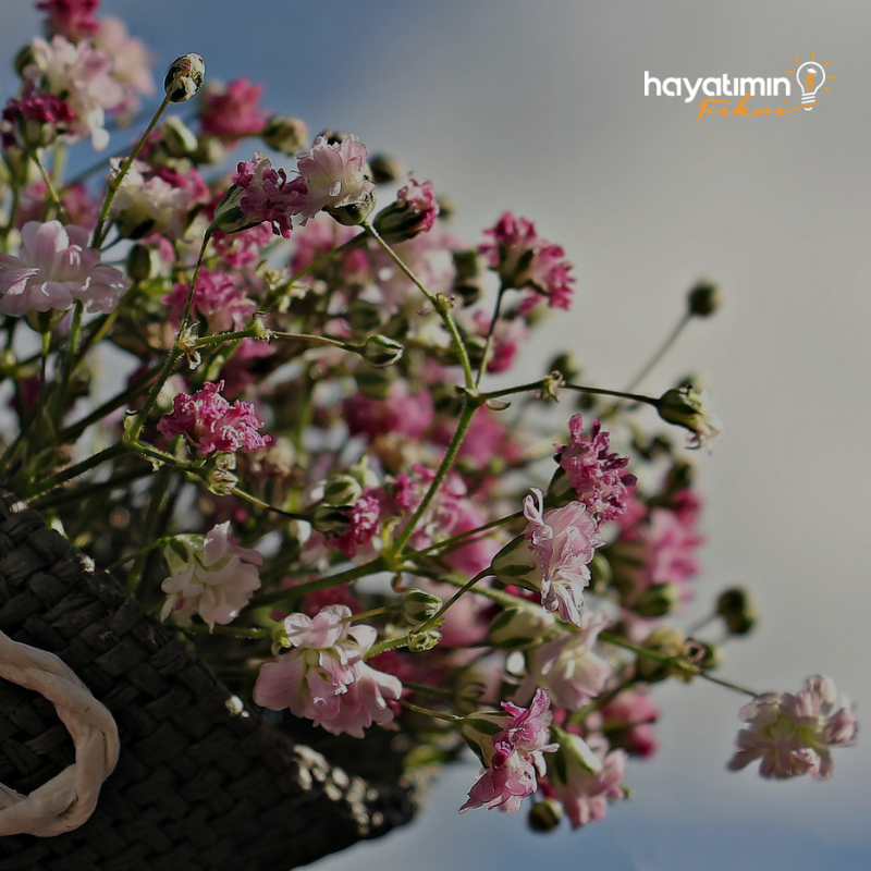 Yaşamın ilk adımlarından hayatımızın her anında bizimle olan annelerimizin Anneler Günü kutlu olsun. #AnnelerGünü