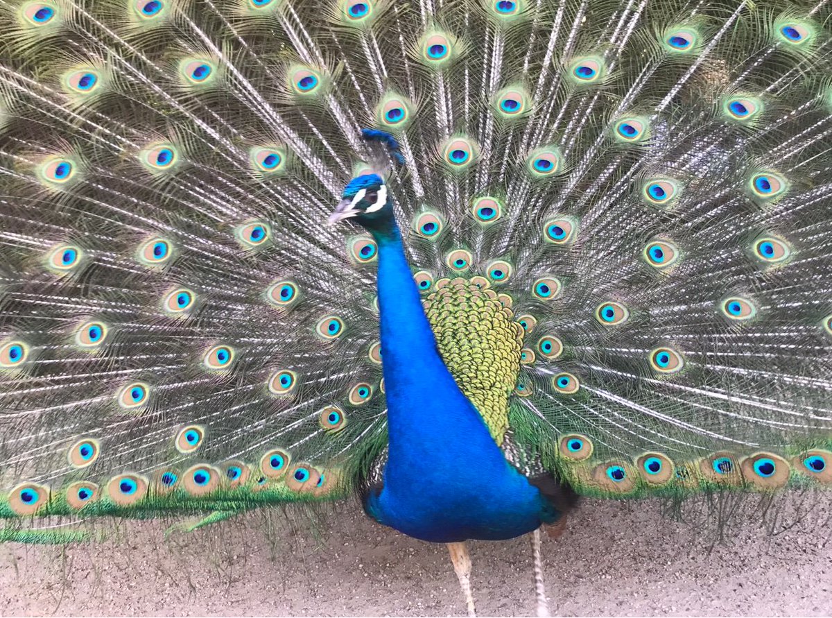 ¡Comenzamos en breve!