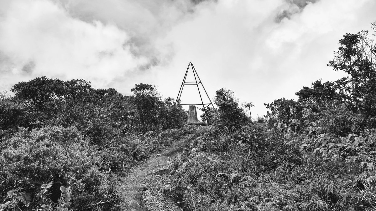 eriphar's tweet image. On 2019-05-11, I joined the 7402ft Club. 😎 A successful #hike to the #BlueMountainPeak in #Jamaica.  #HikeTheBlue #hikingadventures #hiking #MyJamaica