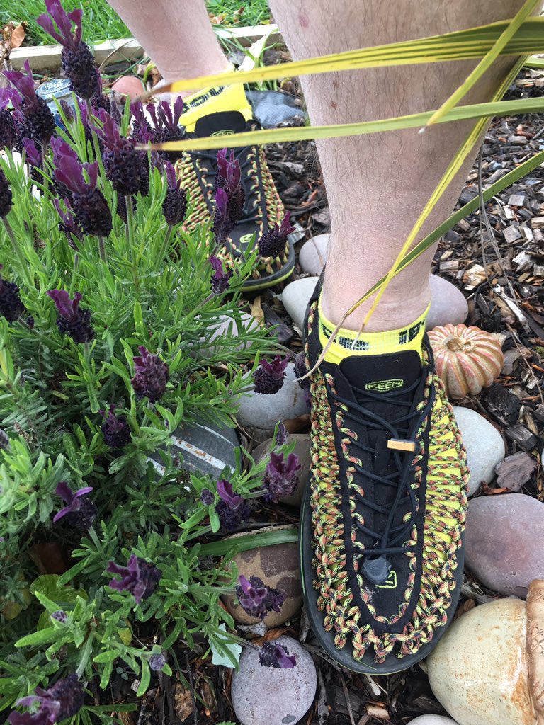divermark1's tweet photo. @KEEN #socksandsandals ROCKING the UNEEK  look of the British Male on holiday ! Is it ok to enter your competition on twitter ? https://t.co/sFbroGCqRb