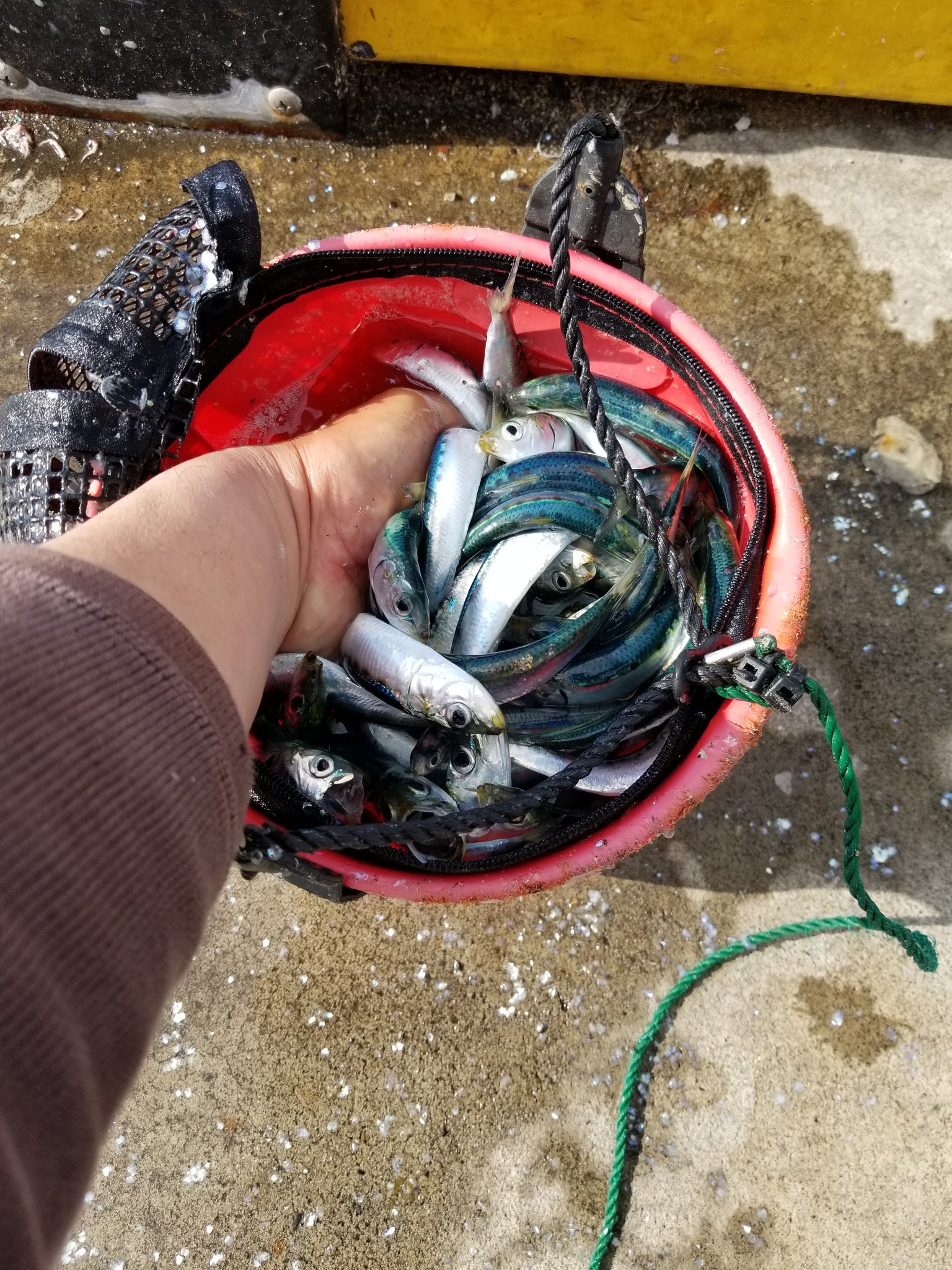 仙台港釣り公園 Twitter Search Twitter