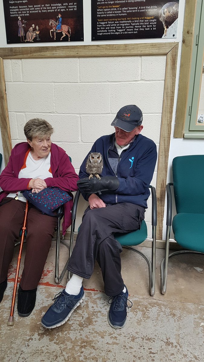 Michaleen Hilton tweet media