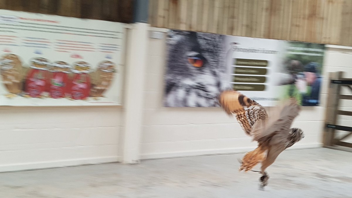 Michaleen Hilton tweet media