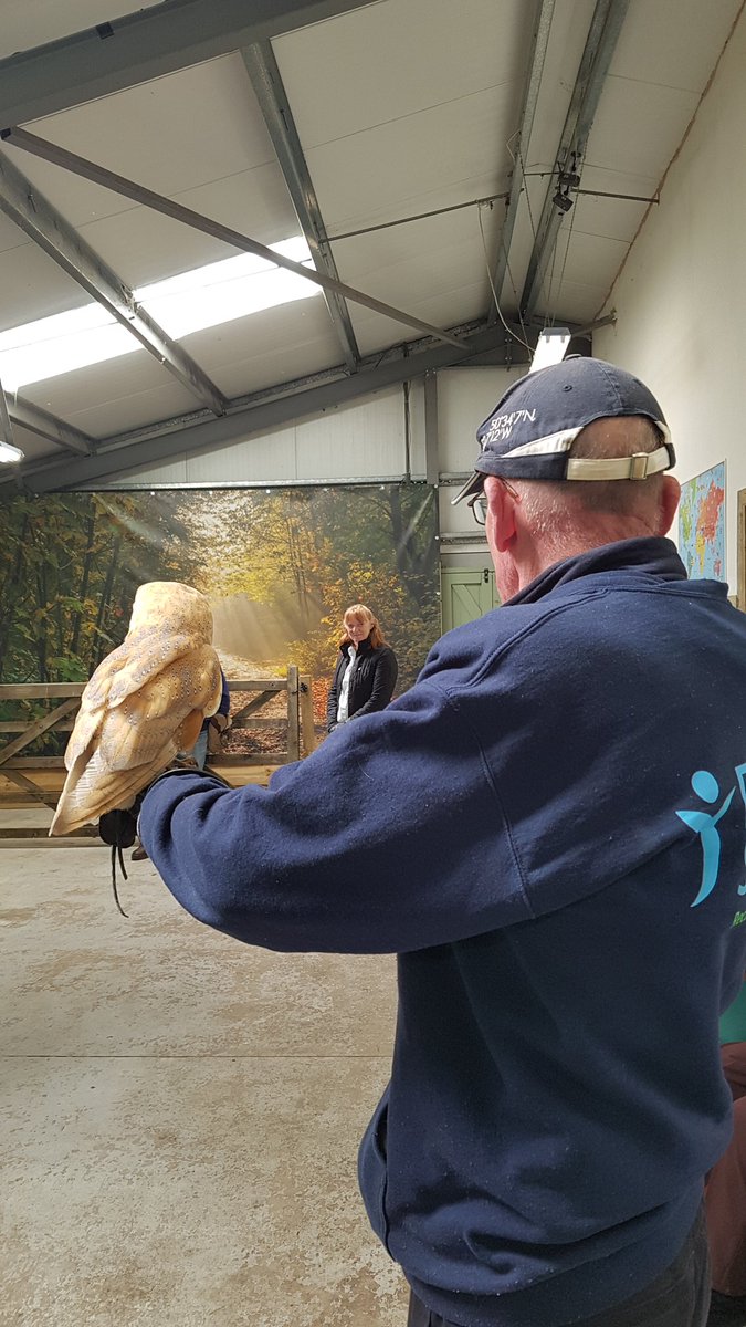 Michaleen Hilton tweet media