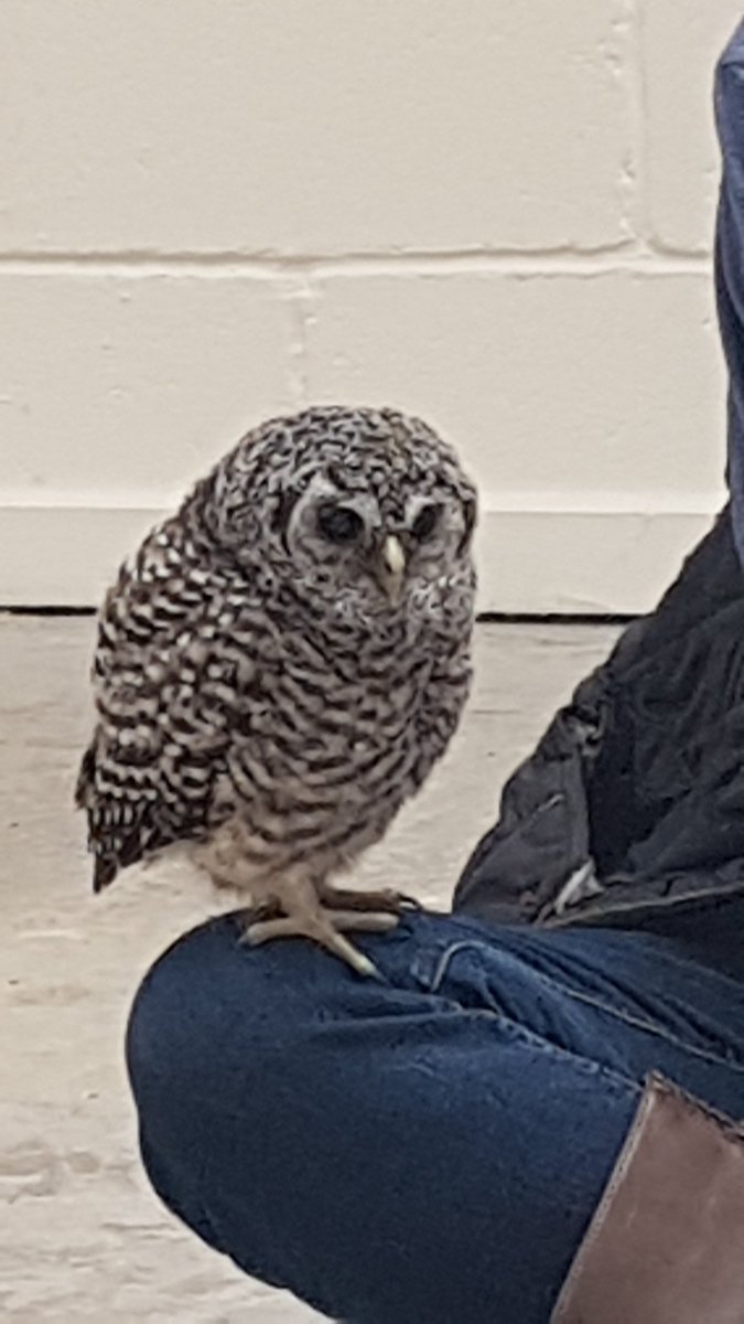 Michaleen Hilton tweet media