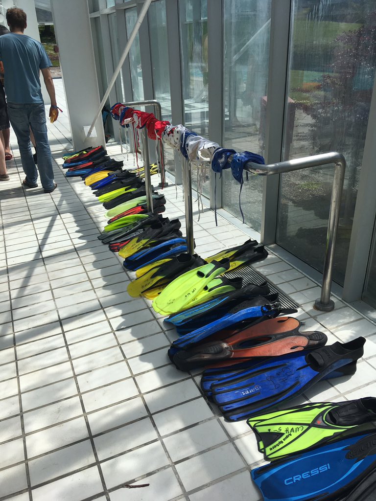 CorkUWH's tweet photo. All set up @ITAVfestival poolside. Come join us! #uwh #octopush #itav19 https://t.co/MeJYJeeNna