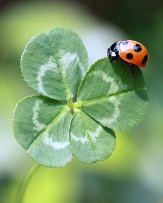 Medewerkers Action filiaal Hofstraat verdienen een dikke pluim! <a href="/ActionNederland/">Action Nederland</a> <a href="/apeldoorn/">apeldoorn</a> door een snelle, correcte en lieve reactie op het moment dat een klant onwel geworden was, gaat het haar nu goed. #dankbaar  #Hartopdejuistplek