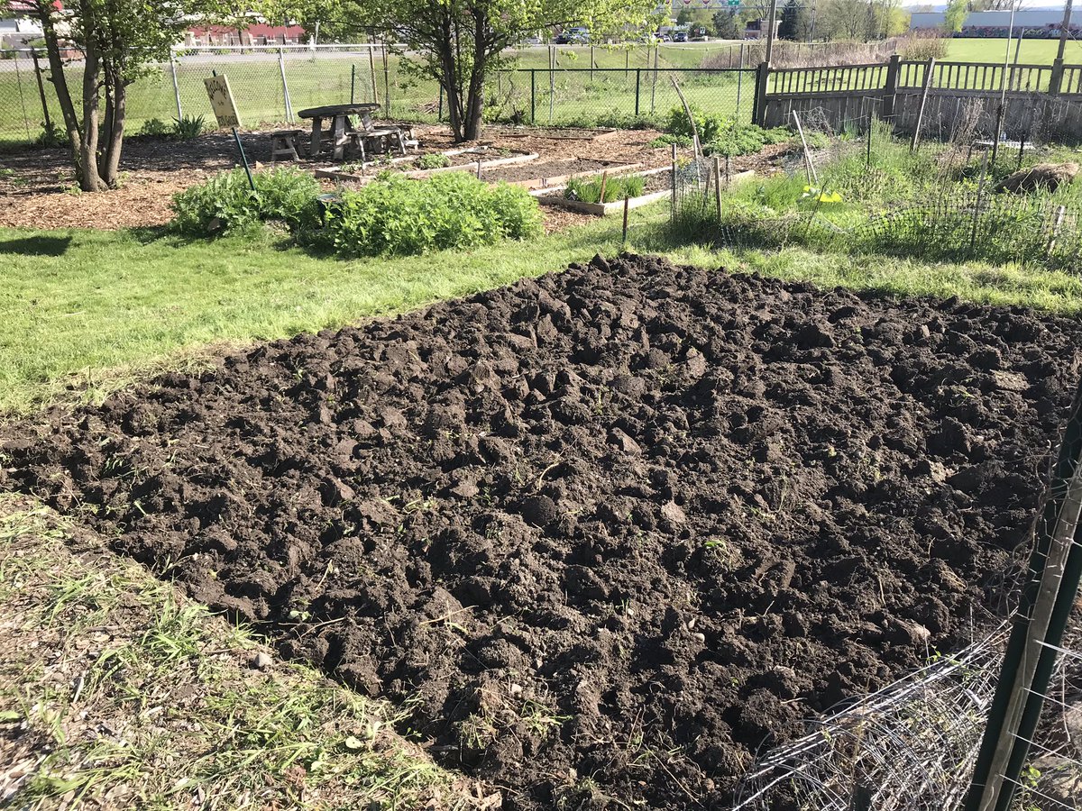 Mike_Dineen_'s tweet image. Ready for spuds! #local #manualLabour 🇮🇪 🥔