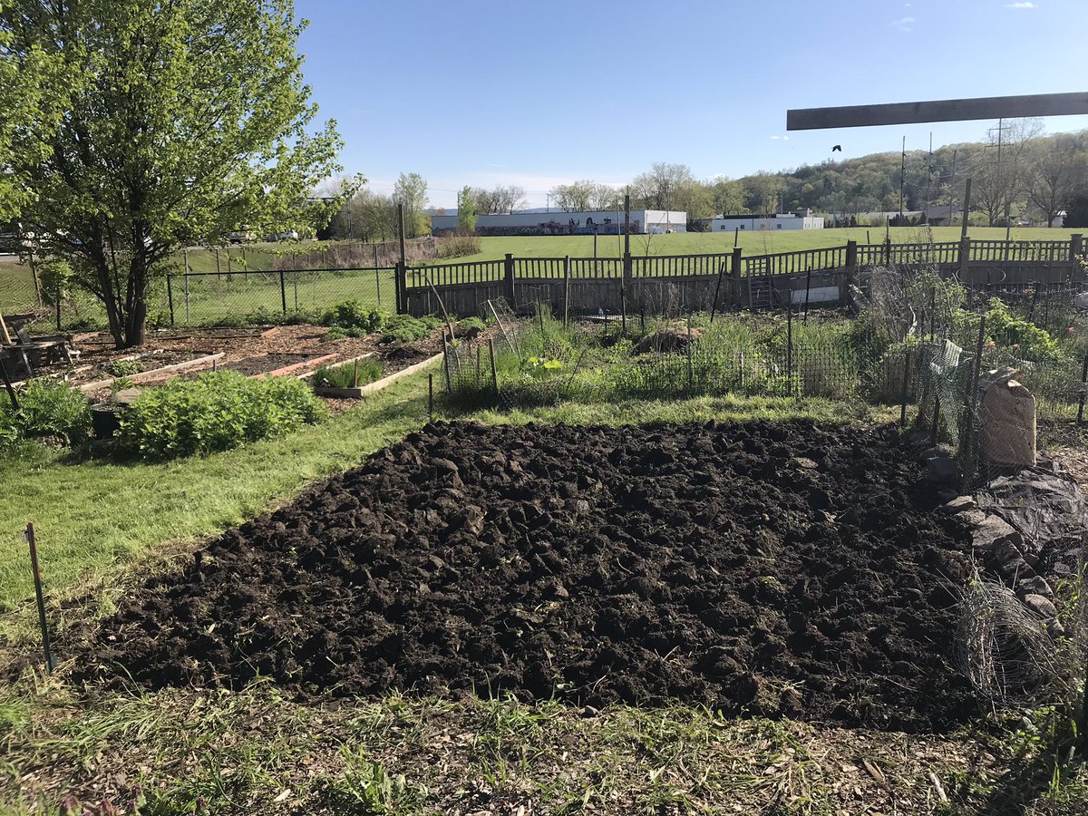 Mike_Dineen_'s tweet image. Ready for spuds! #local #manualLabour 🇮🇪 🥔